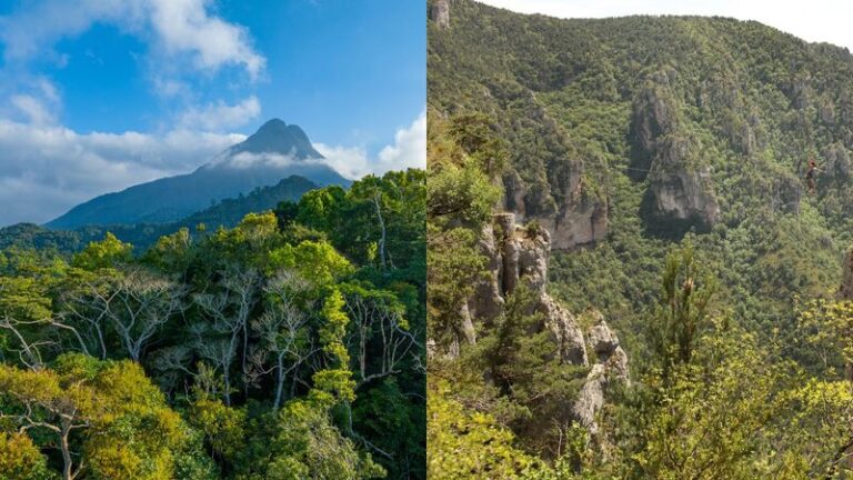 China_and_France_Join_Forces_to_Protect_Biodiversity_in_National_Parks___