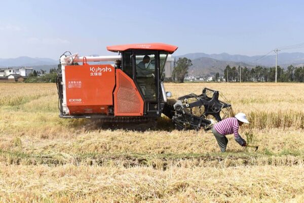 China and Germany Join Forces to Supercharge Barley Research 🌾🚀 China_and_Germany_Join_Forces_to_Supercharge_Barley_Research___