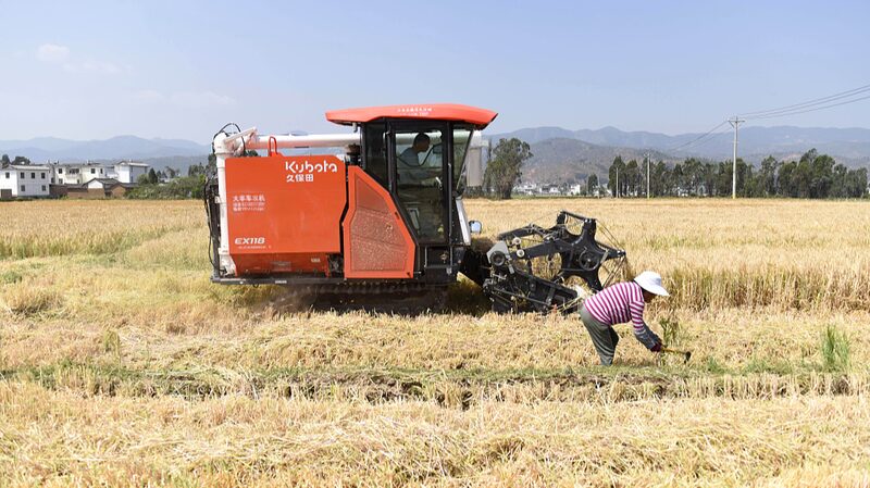China_and_Germany_Join_Forces_to_Supercharge_Barley_Research___ - News for amigos, by amigos China_and_Germany_Join_Forces_to_Supercharge_Barley_Research___