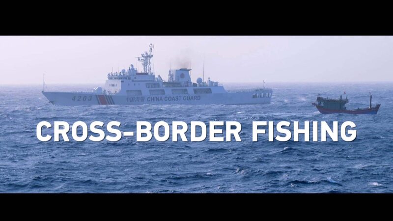 China_and_Vietnam_Team_Up_to_Tackle_Cross_Border_Fishing_in_the_Beibu_Gulf_poster - News for amigos, by amigos China_and_Vietnam_Team_Up_to_Tackle_Cross_Border_Fishing_in_the_Beibu_Gulf video poster