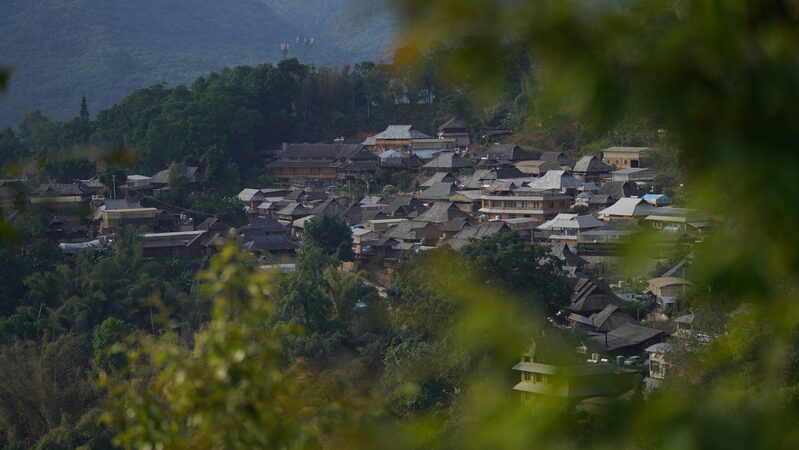 China_s_Ancient_Tea_Forests_on_Jingmai_Mountain_Join_UNESCO_Heritage_List____poster - News for amigos, by amigos China_s_Ancient_Tea_Forests_on_Jingmai_Mountain_Join_UNESCO_Heritage_List___ video poster