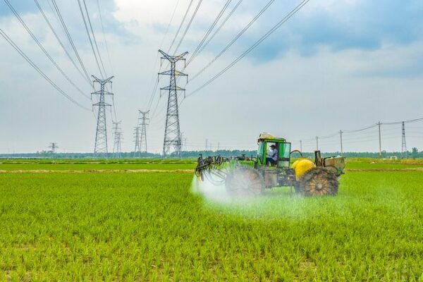 🌾 China’s Autumn Harvest Thrives Despite Weather Challenges __China_s_Autumn_Harvest_Thrives_Despite_Weather_Challenges