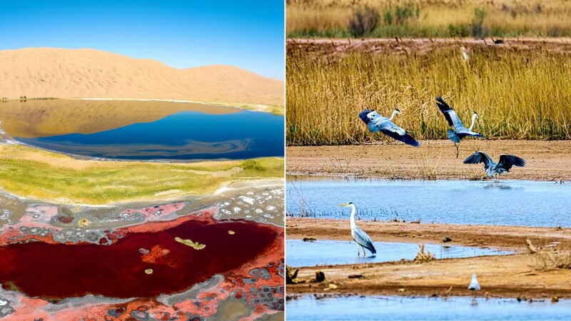 China_s_Badain_Jaran_Desert_Joins_UNESCO_World_Heritage_List____ - News for amigos, by amigos China_s_Badain_Jaran_Desert_Joins_UNESCO_World_Heritage_List____
