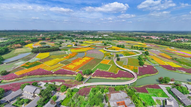China_s_Big_Green_Leap__New_Guidelines_Aim_for_a_Sustainable_Future__ - News for amigos, by amigos China_s_Big_Green_Leap__New_Guidelines_Aim_for_a_Sustainable_Future__