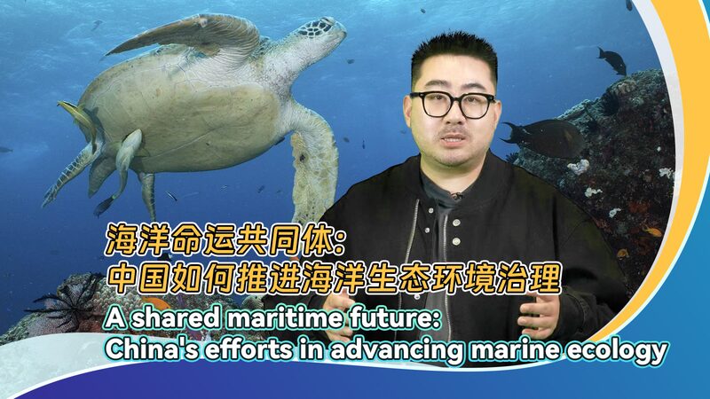 China_s_Blue_Circle__Turning_Ocean_Plastic_into_Treasure_____poster - News for amigos, by amigos China_s_Blue_Circle__Turning_Ocean_Plastic_into_Treasure____ video poster