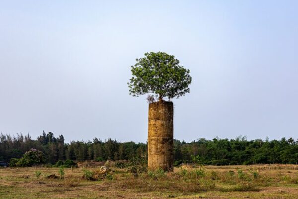 China’s Bold Move: Cutting Cement Industry Emissions by 13 Million Tonnes 🌍🔥 China_s_Bold_Move__Cutting_Cement_Industry_Emissions_by_13_Million_Tonnes___