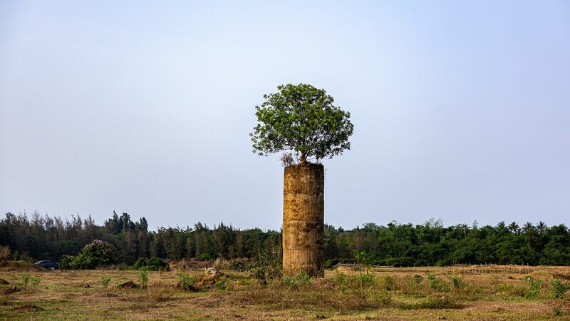 China_s_Bold_Move__Cutting_Cement_Industry_Emissions_by_13_Million_Tonnes___