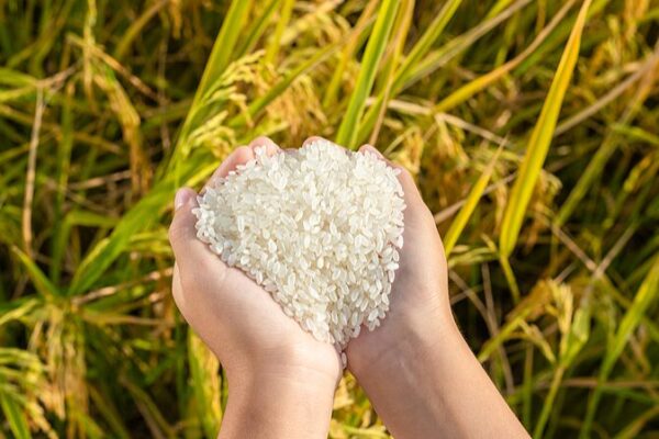 China’s Bold Plan to Cut Food Waste by 2027 🌏🍛 China_s_Bold_Plan_to_Cut_Food_Waste_by_2027___