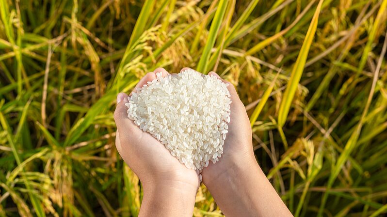 China_s_Bold_Plan_to_Cut_Food_Waste_by_2027___