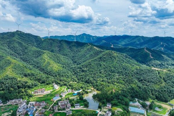 China’s Carbon Market Turns 3, Fuels Green Profits 🌿💰 China_s_Carbon_Market_Turns_3__Fuels_Green_Profits___