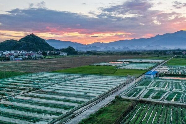 China’s Circular Agriculture Takes Root: $1 Billion Boost for Green Farming 🌱 China_s_Circular_Agriculture_Takes_Root___1_Billion_Boost_for_Green_Farming__