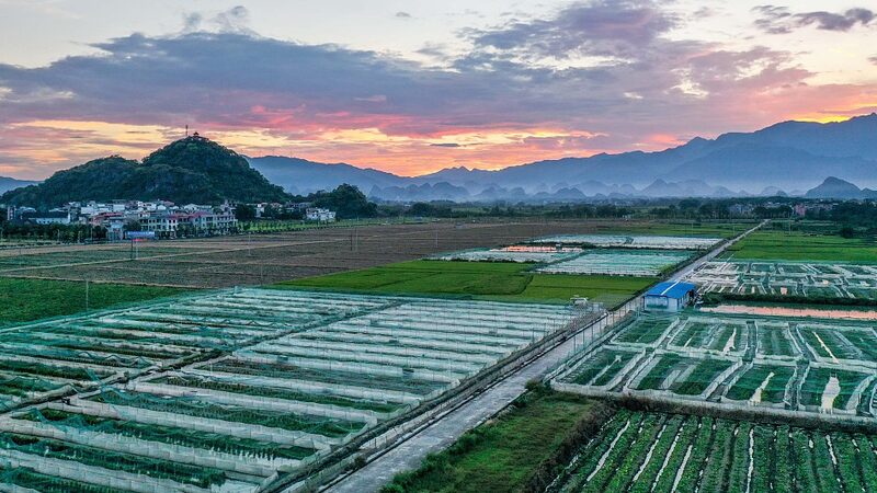 China_s_Circular_Agriculture_Takes_Root___1_Billion_Boost_for_Green_Farming__ - News for amigos, by amigos China_s_Circular_Agriculture_Takes_Root___1_Billion_Boost_for_Green_Farming__