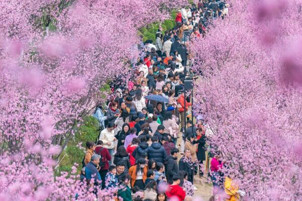 China’s Decades-Long Reforestation Pays Off: A Greener Future 🌳 China_s_Decades_Long_Reforestation_Pays_Off__A_Greener_Future__