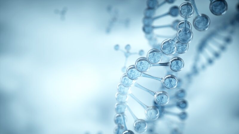 China_s_Deep_Sea_Gene_Sequencer_Makes_Waves_with_Successful_Sea_Trials___ - News for amigos, by amigos China_s_Deep_Sea_Gene_Sequencer_Makes_Waves_with_Successful_Sea_Trials___