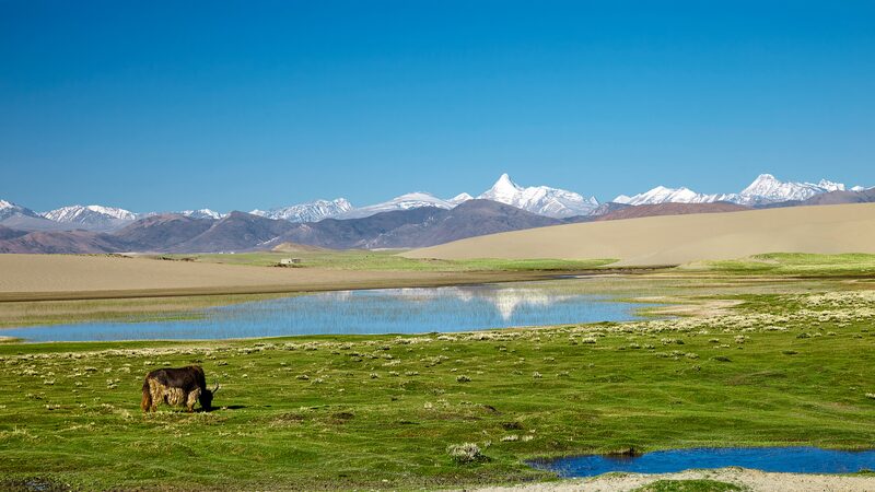 China_s_Epic_Expedition__Exploring_the_Qinghai_Xizang_Plateau_s_Hidden_Treasures__