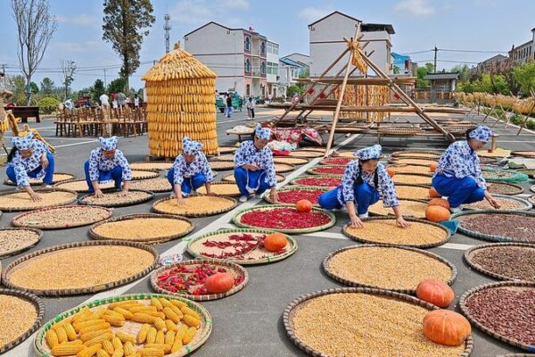 China’s Farmers Celebrate the 7th Harvest Festival with Bountiful Smiles 😊 China_s_Farmers_Celebrate_the_7th_Harvest_Festival_with_Bountiful_Smiles__