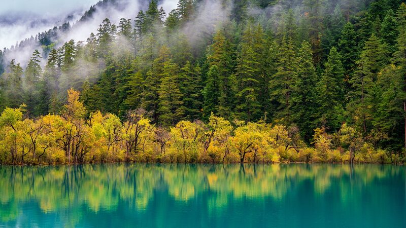 China_s_Forests_Are_the_World_s_Biggest_Carbon_Sponge____