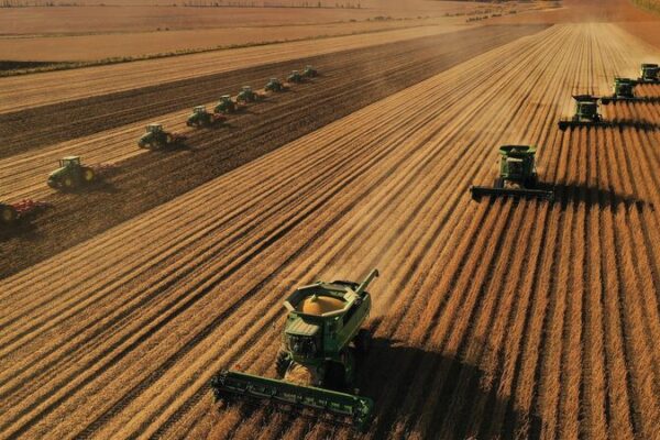 China’s Grain Output Set to Break 700 Million Tonnes Mark for the First Time! China_s_Grain_Output_Set_to_Break_700_Million_Tonnes_Mark_for_the_First_Time_