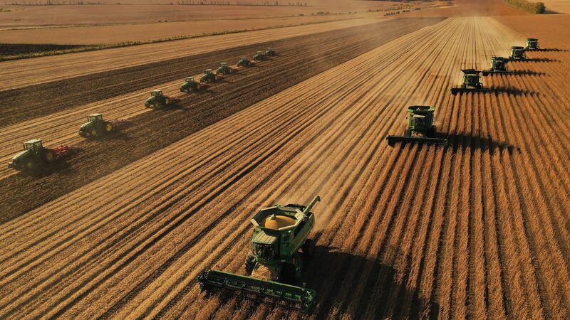 China_s_Grain_Output_Set_to_Break_700_Million_Tonnes_Mark_for_the_First_Time_ - News for amigos, by amigos China_s_Grain_Output_Set_to_Break_700_Million_Tonnes_Mark_for_the_First_Time_