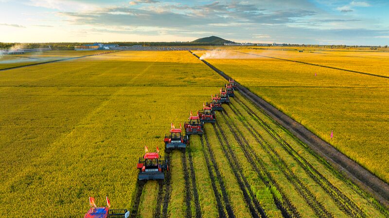 China_s_Grain_Purchase_to_Hit_420_Million_Tonnes_in_2024___ - News for amigos, by amigos China_s_Grain_Purchase_to_Hit_420_Million_Tonnes_in_2024___