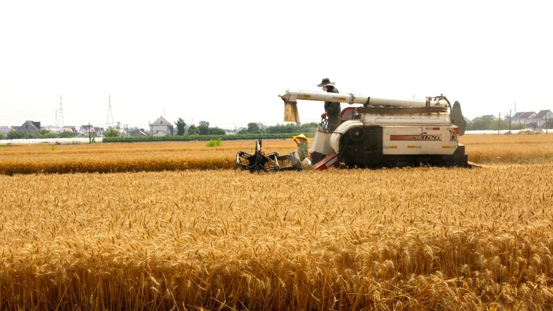 China_s_Grain_Storage_Soars_Over_700_Million_Tonnes_by_End_of_2023___ - News for amigos, by amigos China_s_Grain_Storage_Soars_Over_700_Million_Tonnes_by_End_of_2023___