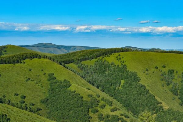 China’s Great Green Wall: Transforming Deserts into Forests 🌳 China_s_Great_Green_Wall__Transforming_Deserts_into_Forests__