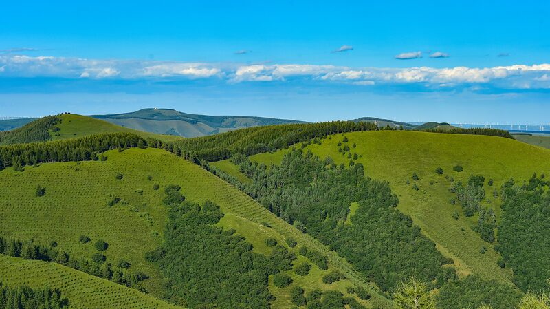 China_s_Great_Green_Wall__Transforming_Deserts_into_Forests__