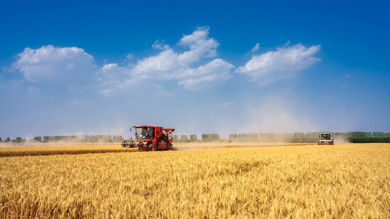China_s_Green_Agriculture__Steady_Progress_Towards_a_Sustainable_Future - News for amigos, by amigos __China_s_Green_Agriculture__Steady_Progress_Towards_a_Sustainable_Future