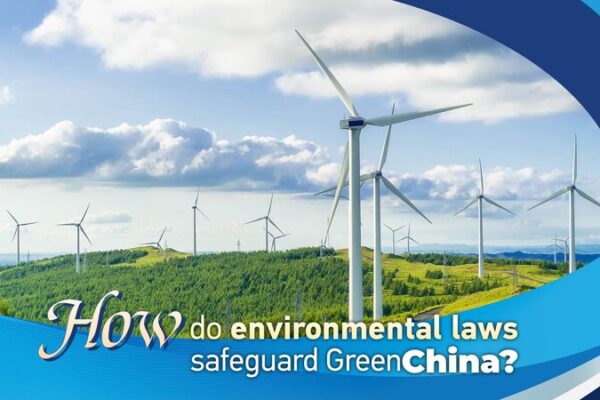 China’s Green Guardians: How Environmental Laws are Making a Difference 🌿 China_s_Green_Guardians__How_Environmental_Laws_are_Making_a_Difference__