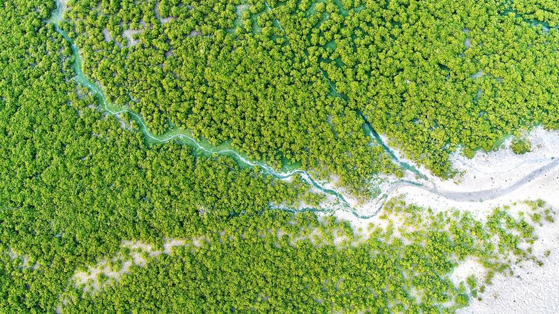 China_s_Green_Leap_Forward__Restoring_the_Land__ - News for amigos, by amigos China_s_Green_Leap_Forward__Restoring_the_Land__