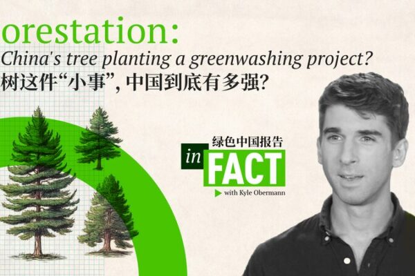China’s Green Leap: Unveiling the Success of Massive Reforestation Efforts 🌳✨ China_s_Green_Leap__Unveiling_the_Success_of_Massive_Reforestation_Efforts___ video poster