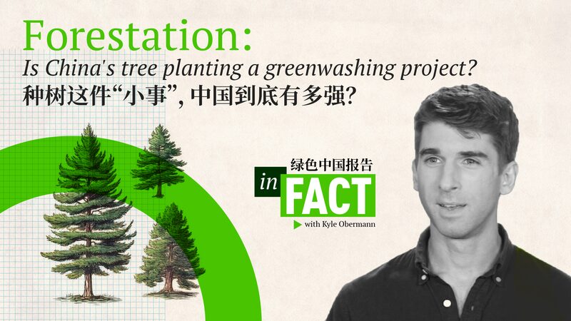 China_s_Green_Leap__Unveiling_the_Success_of_Massive_Reforestation_Efforts___ video poster