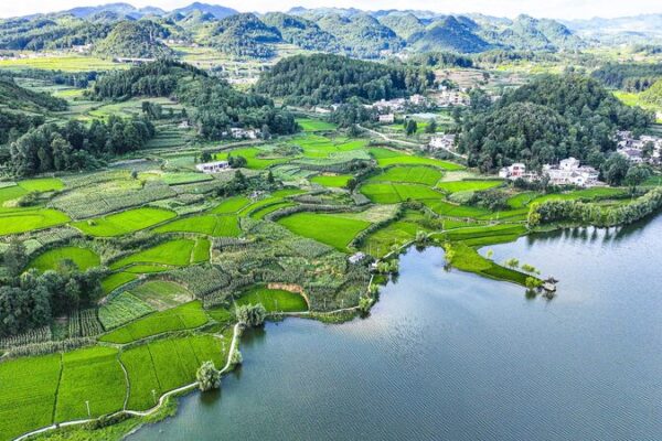 China’s Green Plan: NDRC Unveils Eco-Tasks on National Ecology Day 🌿 China_s_Green_Plan__NDRC_Unveils_Eco_Tasks_on_National_Ecology_Day__