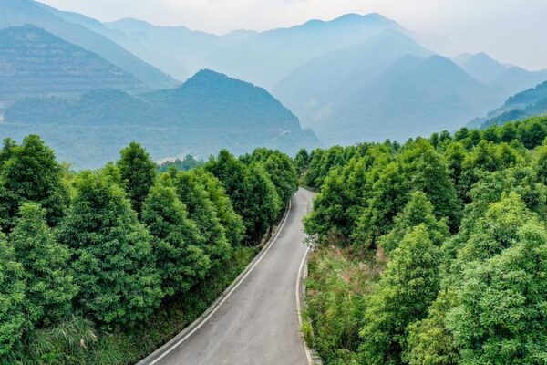 China’s Green Revolution: 6.7 Million Hectares Restored under Shan-Shui Initiative 🌿 China_s_Green_Revolution__6_7_Million_Hectares_Restored_under_Shan_Shui_Initiative__
