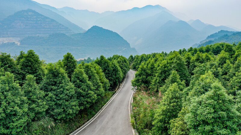 China_s_Green_Revolution__6_7_Million_Hectares_Restored_under_Shan_Shui_Initiative__ - News for amigos, by amigos China_s_Green_Revolution__6_7_Million_Hectares_Restored_under_Shan_Shui_Initiative__
