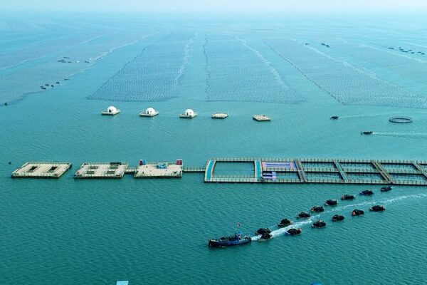 China’s Marine Economy Makes Waves with 5.6% Growth in First Half of the Year 🌊 China_s_Marine_Economy_Makes_Waves_with_5_6__Growth_in_First_Half_of_the_Year__