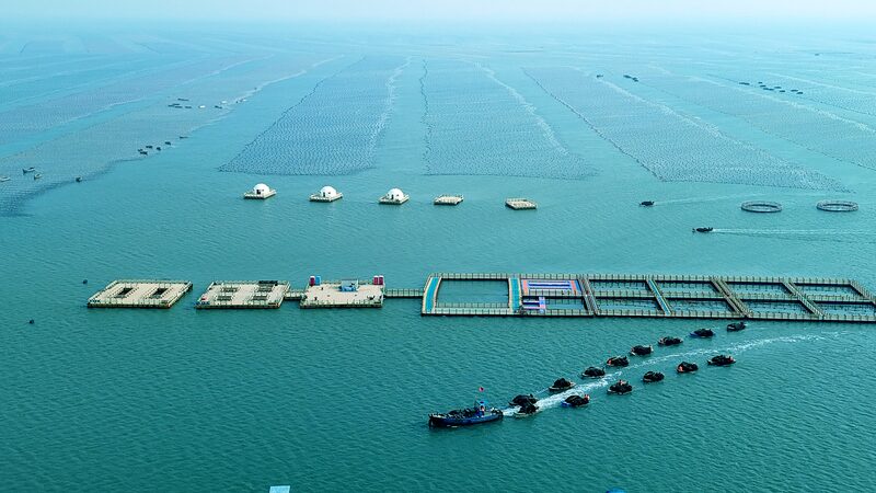 China_s_Marine_Economy_Makes_Waves_with_5_6__Growth_in_First_Half_of_the_Year__ - News for amigos, by amigos China_s_Marine_Economy_Makes_Waves_with_5_6__Growth_in_First_Half_of_the_Year__