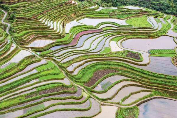 China’s National Land Day: Protecting Our Planet, One Step at a Time 🌱 China_s_National_Land_Day__Protecting_Our_Planet__One_Step_at_a_Time__
