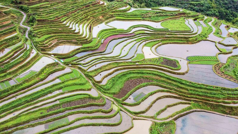 China_s_National_Land_Day__Protecting_Our_Planet__One_Step_at_a_Time__ - News for amigos, by amigos China_s_National_Land_Day__Protecting_Our_Planet__One_Step_at_a_Time__
