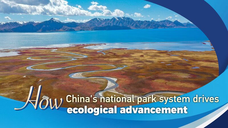 China_s_National_Parks__Leading_the_Eco_Advancement_Charge__ - News for amigos, by amigos China_s_National_Parks__Leading_the_Eco_Advancement_Charge__