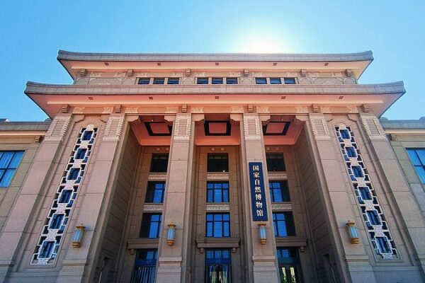 China’s New Natural History Museum Set to Open in 2029 🚀 China_s_New_Natural_History_Museum_Set_to_Open_in_2029__