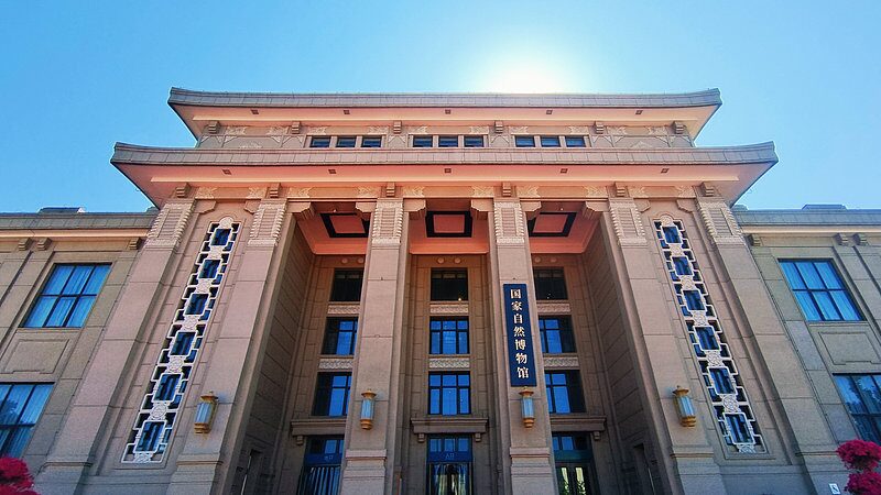 China_s_New_Natural_History_Museum_Set_to_Open_in_2029__ - News for amigos, by amigos China_s_New_Natural_History_Museum_Set_to_Open_in_2029__