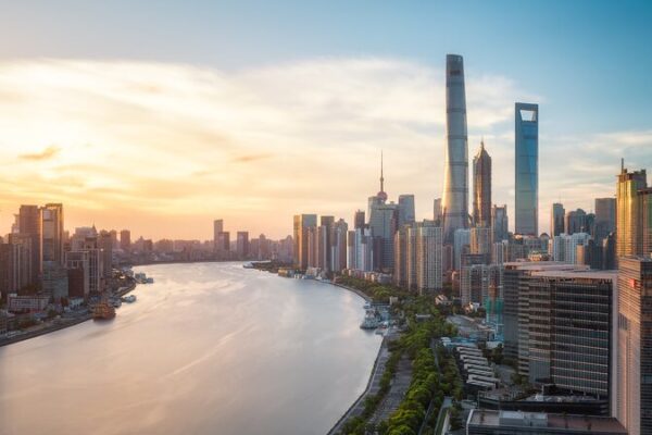 China’s November Numbers: Finding Opportunities Amid Challenges 🚀 China_s_November_Numbers__Finding_Opportunities_Amid_Challenges__