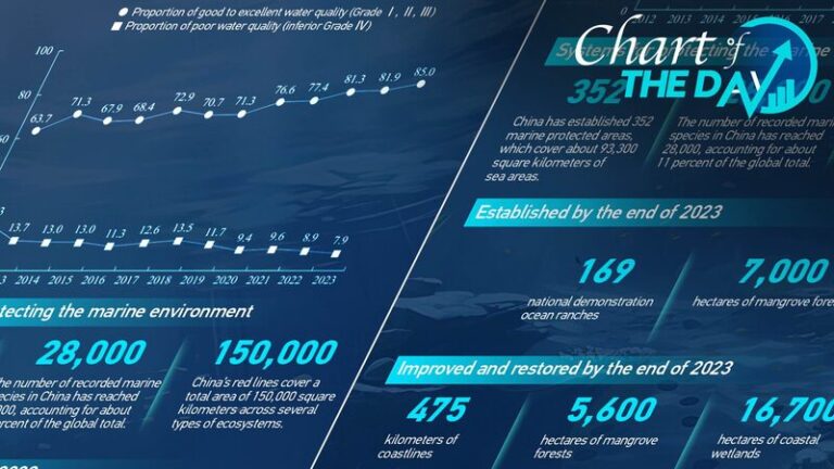 China_s_Oceans_Are_Turning_the_Tide___Towards_a_Greener_Future