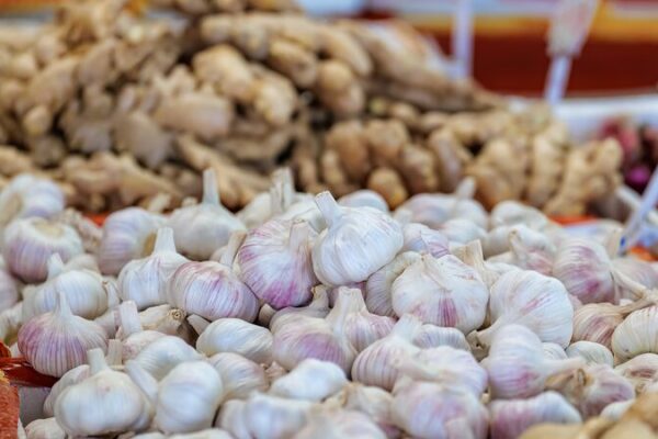 China’s Playful Response to US: Garlic as a ‘Major Threat’? 🌱🧄 China_s_Playful_Response_to_US__Garlic_as_a__Major_Threat_____