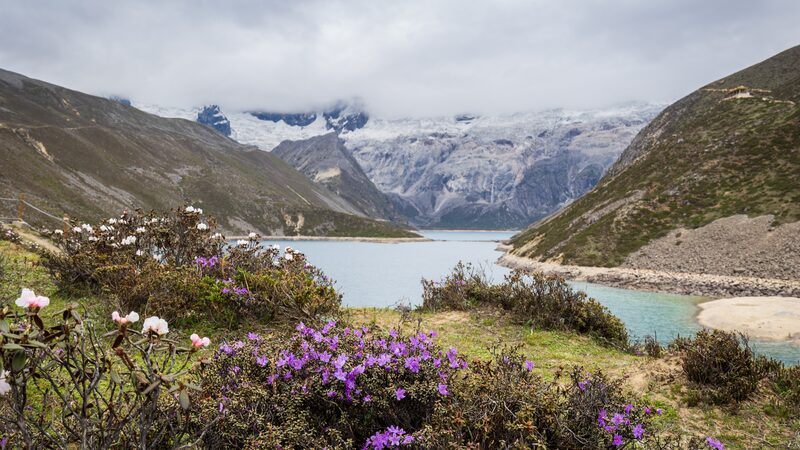 China_s_Qinghai_Xizang_Plateau__Earth_s_Mighty_Carbon_Sink___ - News for amigos, by amigos China_s_Qinghai_Xizang_Plateau__Earth_s_Mighty_Carbon_Sink___