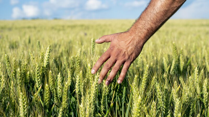 China_s_Rural_Prosperity__Incomes_Double_in_a_Decade___ - News for amigos, by amigos China_s_Rural_Prosperity__Incomes_Double_in_a_Decade___