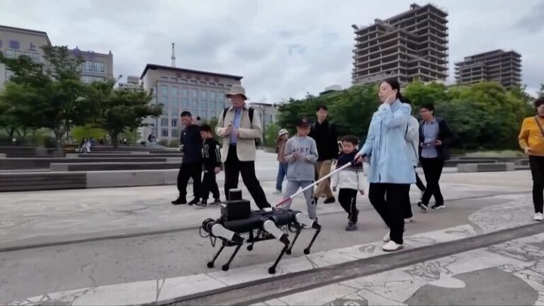 China_s_Six_Legged_Robot__Guide_Dog__Offers_a_Helping_Hand_to_the_Blind video poster
