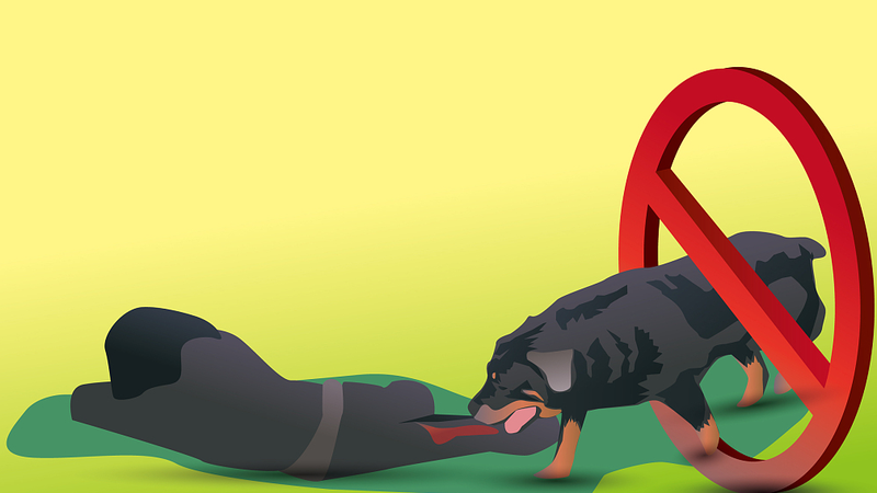 China_s_Supreme_Court__Owners_of_Banned_Dogs_Fully_Liable_for_Injuries____