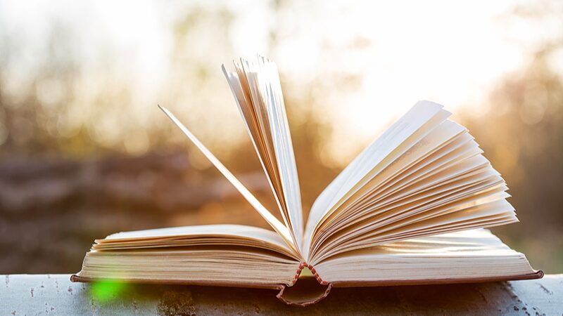 China_s_Top_Buzzwords_of_2024_Reflect_Changing_Trends__ - News for amigos, by amigos China_s_Top_Buzzwords_of_2024_Reflect_Changing_Trends__